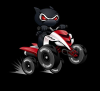 Quad Bikes R Us Ltd