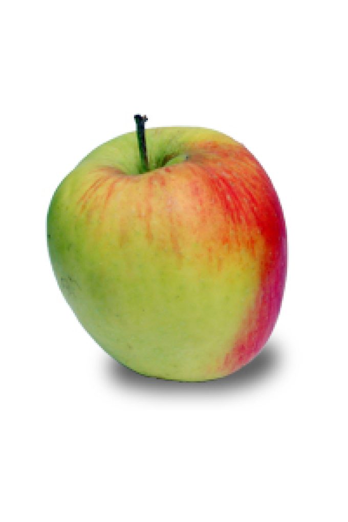 Park Fruit Farm