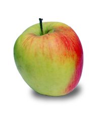 Park Fruit Farm